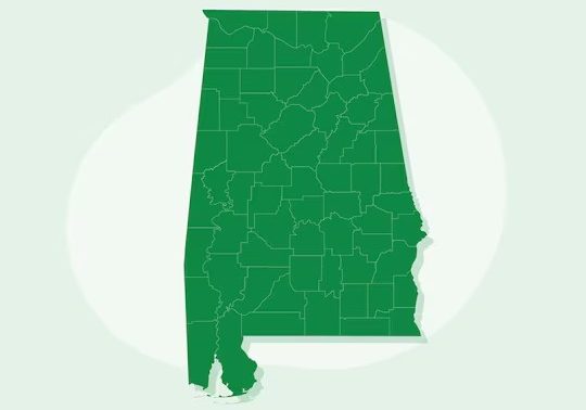 Alabama ISF Filing